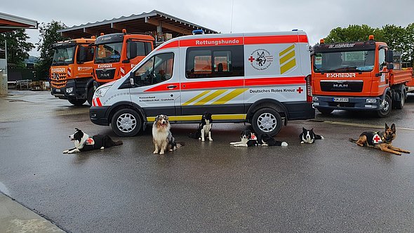 Ausbildung Rettungshunde unterstützen