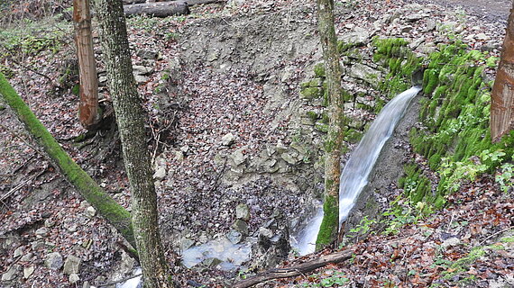 RÜB im oberen Grünsfeldtal